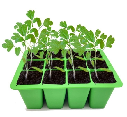 Taças de silicone para jardim de infância tampa Taça de germinação de sementes resistente à corrosão para estufas